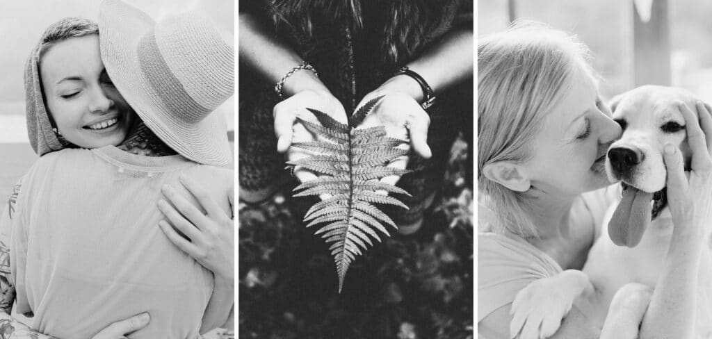 3 pictures to illustrate extraordinary relationships