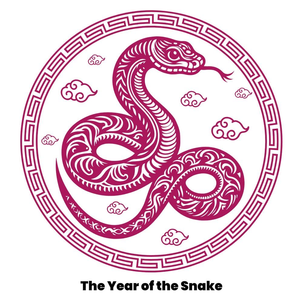 Chinese new year year of the snake image