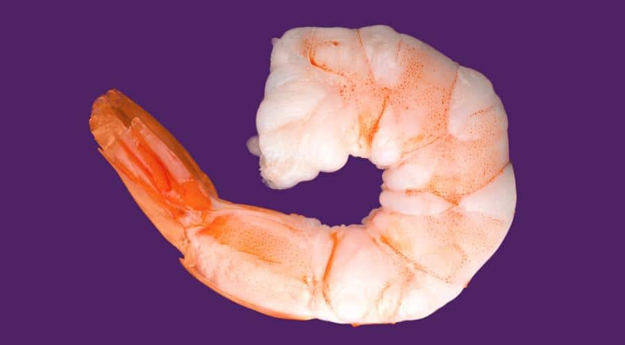 Peeled prawn on purple background