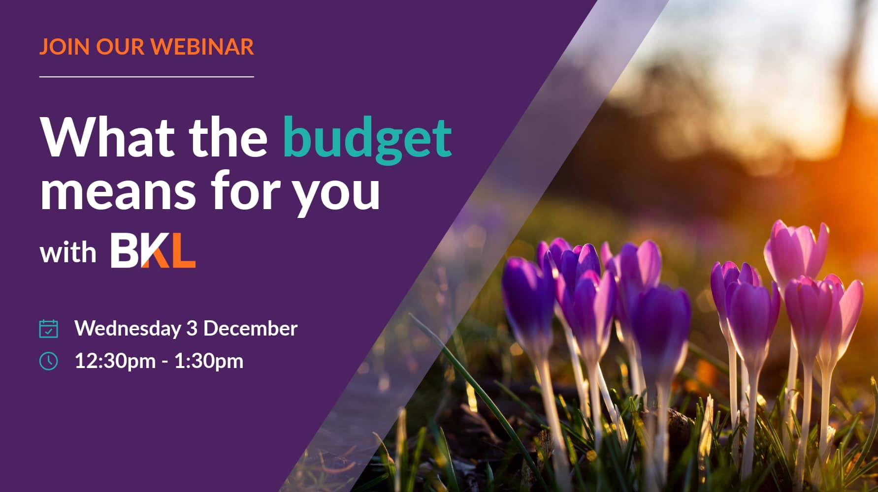 What the budget means for you BKL